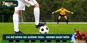 Cá độ bóng đá không thua